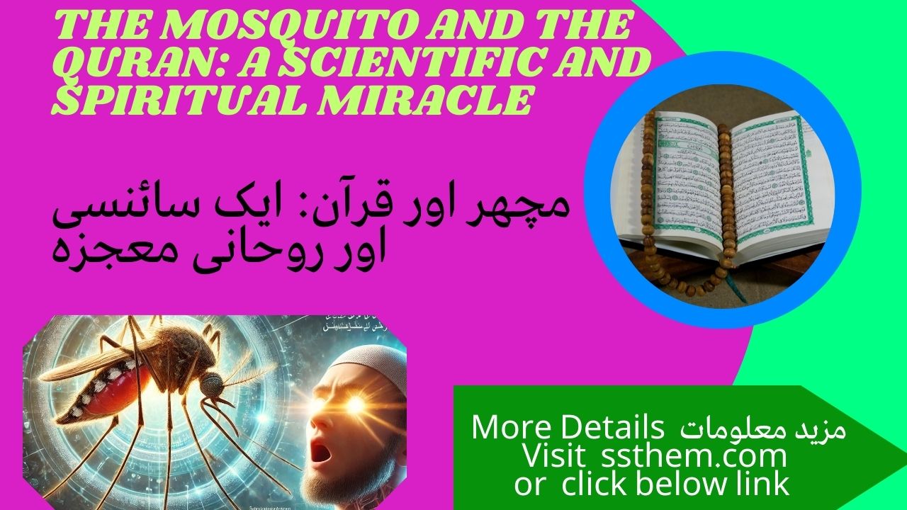 Read more about the article The Mosquito and the Quran: A Scientific and Spiritual Miracle