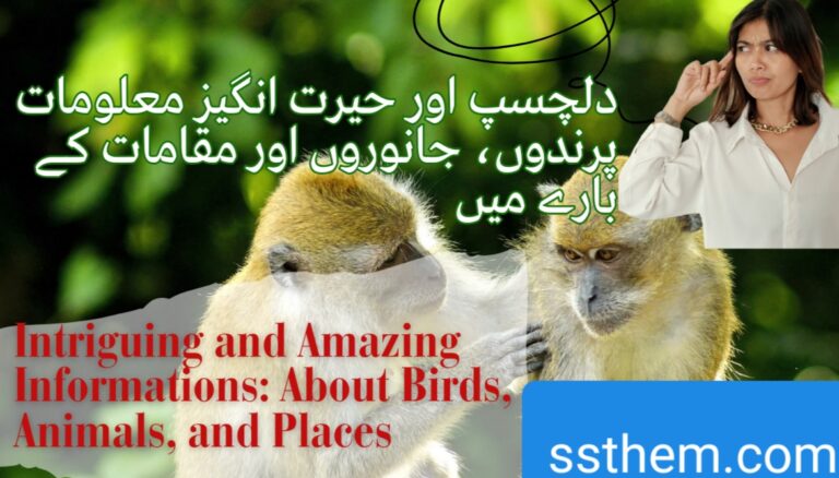 Read more about the article Funny and Fascinating Knowldg: Amazing Facts About Birds, Animals, and Places