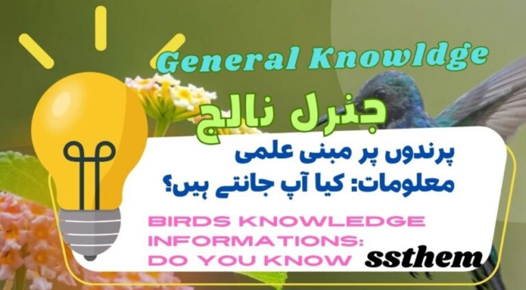 Read more about the article Birds Knowledge Information: Do You Know